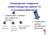 Размещение товарного животноводства зависит от 2 основных факторов: 1. Размещение кормовых баз (сенокосов, пастбищ). 2. Размещение крупных потребителей продукции. Стойловое (свинарники). Стойлово- Пастбищное (коровники). Отгонно-пастбищные (горные районы-овцеводство)