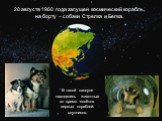 20 августа 1960 года запущен космический корабль, на борту – собаки Стрелка и Белка. В такой капсуле находились животные во время полётов первых кораблей-спутников.