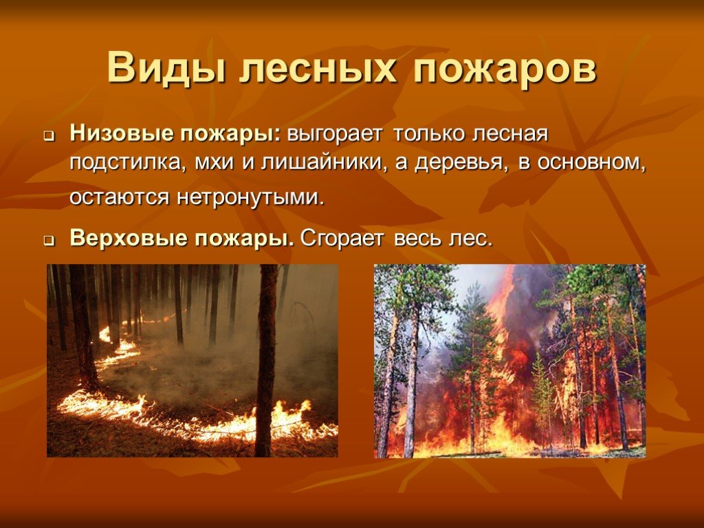 Верховые низовые подземные. Виды лесных пожаров. Виды пожаров в лесу. Лесные пожары презентация. Презентация на тему пожар в лесу.