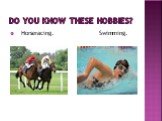 Do you know these hobbies? Horseracing. Swimming.