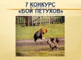 7 конкурс «бой петухов» КОНКУРС "Бой петухов"