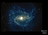Галактика Южное Колесо