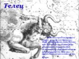 Телец. Зодиакальное созвездие к северо-западу от Ориона. Миф утверждает, что Телец- это белый бык, в которого обратился Зевс, чтобы похитить дочь финикийского царя Европу; на нём она переплыла море и попала на Крит.