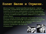 Полет Белки и Стрелки. Бе́лка и Стре́лка — советские собаки-космонавты — первые животные, совершившие орбитальный космический полетт на корабле «Спутник- 5», и вернувшиеся на Землю невредимыми. Старт состоялся 19 августа 1960 года, полёт продолжался более 25 часов, за время которого корабль совершил