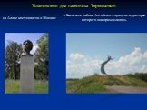 Установлено два памятника Терешковой: на Аллее космонавтов в Москве. в Баевском районе Алтайского края, на территории которого она приземлилась