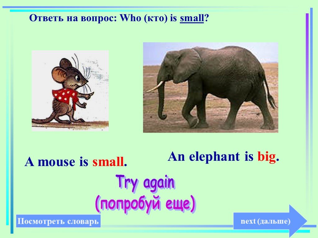 Elephant перевод