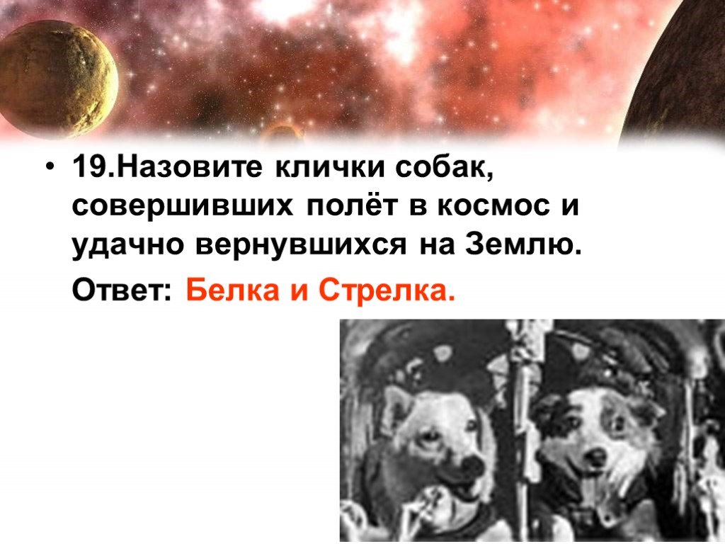 Клички собак в космосе. Клички собак летавших в космос. Собаки в космосе клички. Имя собак в космос летали. Загадка про белку и стрелку космос.