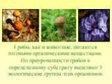 Грибы, как и животные, питаются готовыми органическими веществами. По приуроченности грибов к определенному субстрату выделяют 3 экологические группы этих организмов.