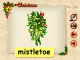 11 / 22 mistletoe