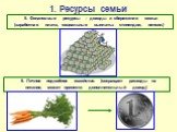 5. Финансовые ресурсы – доходы и сбережения семьи (заработная плата, социальные выплаты: стипендии, пенсии.). 6. Личное подсобное хозяйство (сокращает расходы на питание, может принести дополнительный доход)