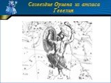 Созвездие Ориона из атласа Гевелия.