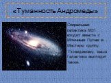 «Туманность Андромеды». Спиральная галактика M31 входит вместе с Млечным Путем в Местную группу. По-видимому, наша Галактика выглядит также.