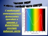 С наибольшей интенсивностью фотосинтез проходит в красном и фиолетовом спектрах видимого света. Человек видит в жёлто - зелёной части спектра