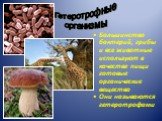 Большинство бактерий, грибы и все животные используют в качестве пищи готовые органические вещества Они называются гетеротрофами. Гетеротрофные организмы
