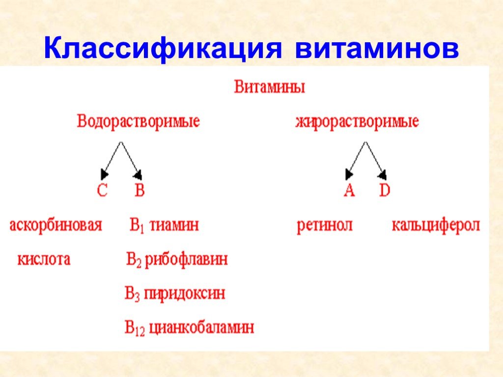 Классификация витаминов картинка