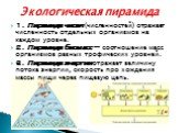 Экологическая пирамида. 1. Пирамида чисел (численностей) отражает численность отдельных организмов на каждом уровне. 2. Пирамида биомасс — соотношение масс организмов разных трофических уровней. 3. Пирамида энергии отражает величину потока энергии, скорость про хождения массы пищи через пищевую цепь