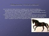 Кабардинская порода лошадей. Одна из старейших пород лошадей Северного Кавказа. Эти лошади разводились преимущественно в крупных табунах кабардинских князей и селекционировались как верховые лошади для по­ходов и военных действий, в меньшей мере для сельскохозяйственного использования. Порода испыта