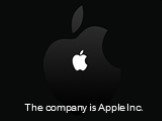 The company is Apple Inc.
