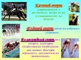Конный спорт, соревнования в различных видах езды и упражнениях на лошади. Ездовой спорт, гонки на собачьих упряжках. Велосипедный спорт, вид спорта, в котором спортсменам необходимо как можно быстрее проходить дистанцию на велосипедах.