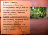 В Ирано-Туранском флористическом районе распространены сухие степи, покрывающиеся зеленью лишь во влажный осенне-зимний сезон, когда ярко цветут однолетники. В низовьях Иордана в изобилии растут кусты унаби. В оазисах в условиях неглубокого залегания грунтовых вод распространены финиковая пальма и д