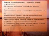 Главные овощные культуры – картофель, томаты, огурцы, перец. Цитрусовые (апельсины, грейпфруты, лимоны) экспортируются Культивируются цветы – гвоздики, розы, гладиолусы и др. Не утратили своего значения животноводство и рыболовство. В Израиле разводят крупный рогатый скот, овец и коз, домашнюю птицу