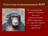 Гипотезы возникновения ВИЧ. На сегодняшний момент основная гипотеза возникновения ВИЧ-инфекции – это передача вируса человеку от приматов.