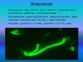 Этиология. Возбудитель чумы Yersinia pestis является представителем рода Yersinia семейства Enterobacteriaceae — неподвижные грамотрицательные микроорганизмы, чаще имеющие вид коротких палочек с закругленными концами, длина их 1—3 мкм, ширина — 0,3—0,7 мкм.