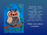 Наклеиваем сову на основной фон – цветной картон. Окончательная отделка панно зависит от фантазии автора. Можно применять любые материалы: стружки, опилки, засушенные цветы, листья, крупы и т.п. Наша сова готова к полёту !