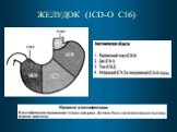 ЖЕЛУДОК (ICD-O C16)