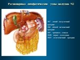 Регионарные лимфатические узлы желудка N2. №7 левой желудочной артерии №8 общей печеночной артерии №9 чревного ствола №10 ворот селезенки №11 селезеночной артерии