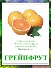 ГРЕЙПФРУТ. И еще один я знаю Удивительнейший фрукт, Апельсин напоминает, Называется - ...