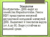 Этиология. Возбудитель– ДНК-вирус из семейства Hepadnaviridae. Геном HBV представлен неполной двухнитевой кольцевой молекулой ДНК. Выделяют 9 генотипов вируса (от A до H). Вирус устойчив во внешней среде.