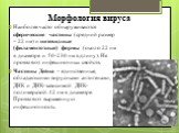 Морфология вируса. Наиболее часто обнаруживаются сферические частицы (средний размер – 22 нм) и нитевидные (филаментозные) формы (около 22 нм в диаметре и 50-230 нм в длину). Не проявляют инфекционных свойств. Частицы Дейна – единственные, обладающими вирусными антигенами, ДНК и ДНК-зависимой ДНК-по