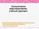http://files.school-collection.edu.ru/dlrstore/f21b3d7b-5be4-4882-879e-27ebe55cbf5b/%5BBIO10_04-27%5D_%5BMA_02%5D.swf. Экологическое видообразование, учебный фрагмент