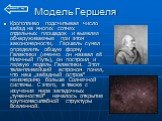 Модель Гершеля. Кропотливо подсчитывая число звёзд на многих сотнях отдельных площадок и выявляя обнаруживаемые при этом закономерности, Гершель сумел определить общую форму Галактики (именно он назвал её Млечный Путь), он построил и первую модель Галактики. Этот талантливейший астроном понял, что н