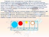 В принципе, жизнь звёзд одинакова. Сначала образуется уплотнение межзвёздного газа и пыли (в основном водорода), затем, за счёт гравитационного сжатия, образуется огромный водородный шар (Рис.1А). По мере его сжатия, давление в центре этого шара увеличивается и одновременно увеличивается температура