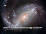 Галактика NGC 1672 с перемычкой находится в созвездии Золотая Рыба, в 60 миллионах световых лет от Земли. Снимок сделан в 2005 году при помощи камеры Advanced Camera for Surveys.