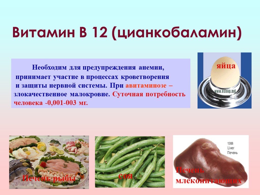 Симптомы витамина б 12. Витамин б 12 анемия. Биологическая роль витамина витамин в12. Функции витамина в12 кратко. Авитаминоз витамина b12.