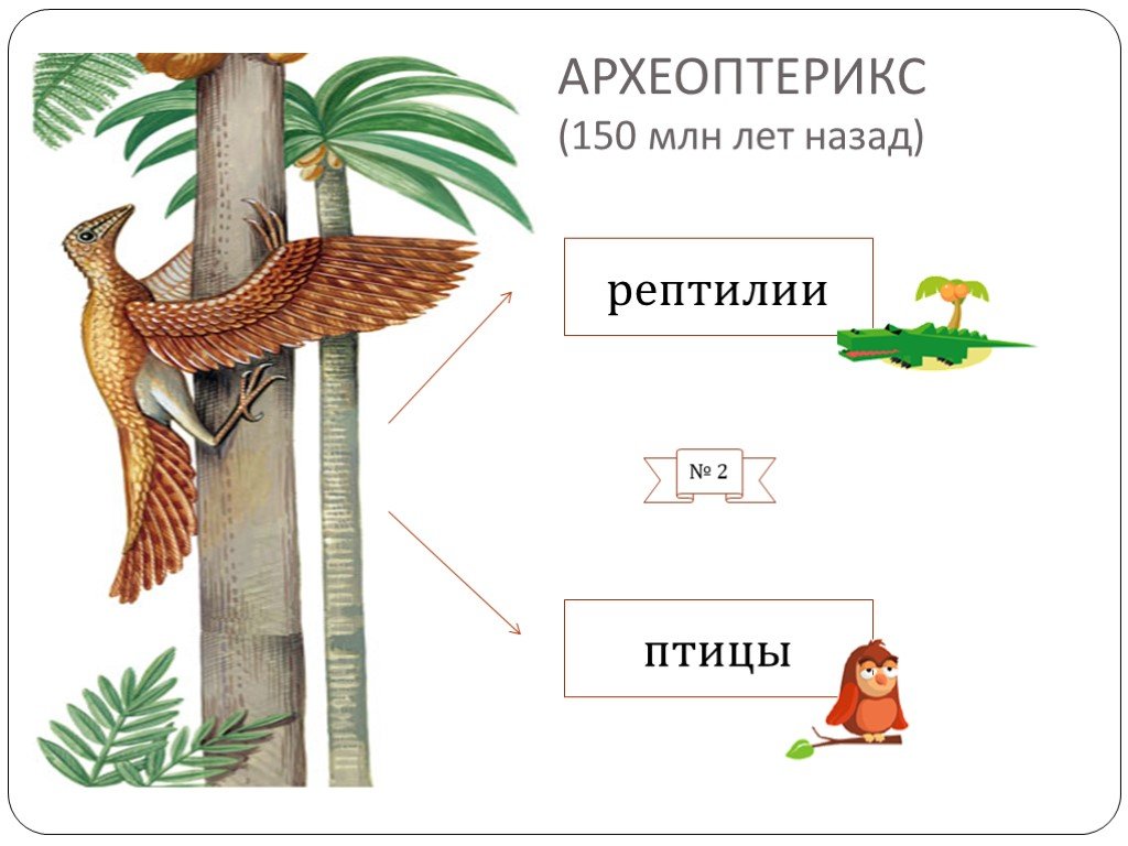 Сходные признаки птиц и пресмыкающихся. Сходства археоптерикса с пресмыкающимися и птицами. Археоптерикс признаки птиц и пресмыкающихся. Археоптерикс сравнение с птицами и пресмыкающимися. Археоптерикс сходство с пресмыкающимися и с птицами таблица.
