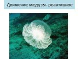 Движение медузы- реактивное