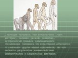Эволюция человека, или антропогенез (греч. antropos – человек, genesis- развитие),- исторический процесс эволюционного становления человека. Он качественно отличается от эволюции других видов организмов, так как является результатом взаимодействия биологических и социальных факторов.