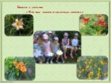 Беседа с детьми «Что мы знаем о садовых цветах»