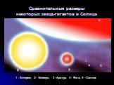 Сравнительные размеры некоторых звезд-гигантов и Солнца. 1 - Антарес; 2 - Канопус; 3 - Арктур; 4 - Вега; 5 - Солнце