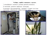 На борту корабля космонавты изучают: 1. атмосферные всплески в условия грозовой активности, 2. технологию развития природных катастроф, 3. исследуют функционирование организма во время сна в ходе длительного космического полёта и многое другое.
