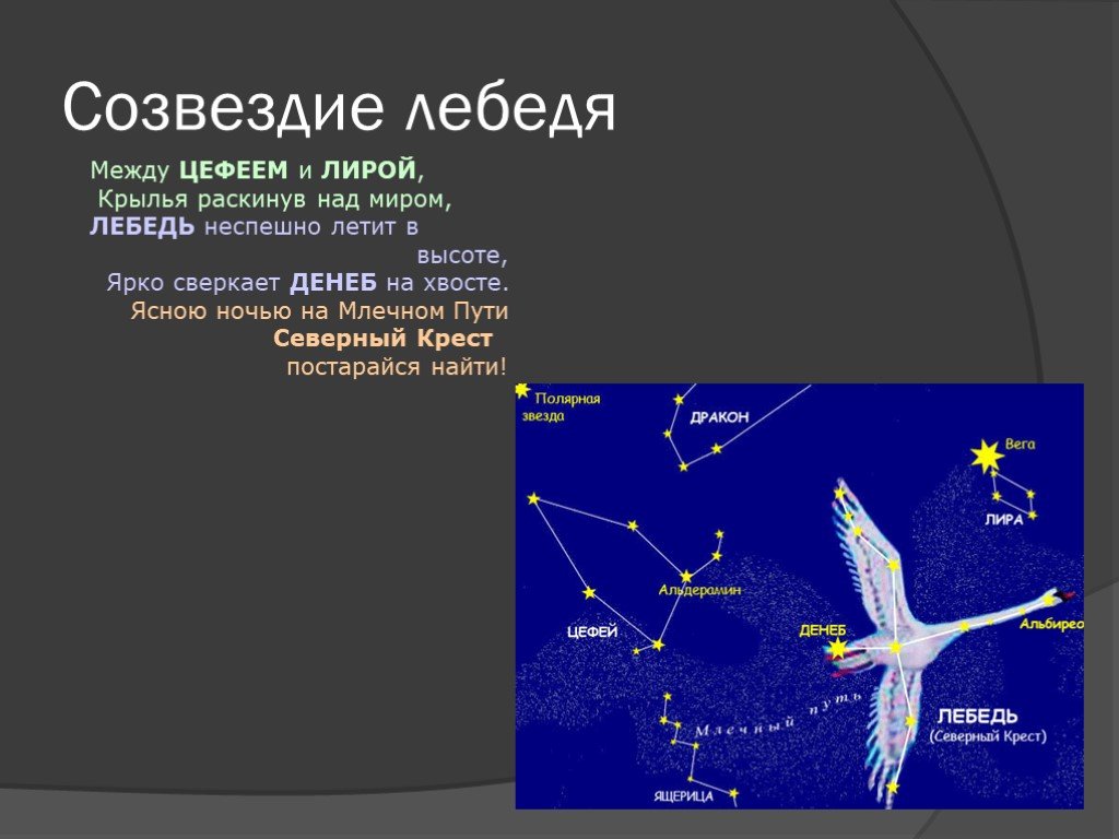 Карта созвездий лебедь