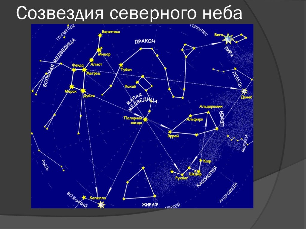 Созвездия типы. Созвездия зимнего неба Северного полушария. Карта звездного неба основные созвездия. Созвездия летнего неба Северного полушария. Расположение созвездсозвездий.