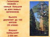 Гигантские секвойи – самые большие из всех живых организмов. Высота достигает до 100 метров (33 этажа). Возраст превышает 2 000 лет.