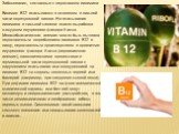 Заболевания, связанные с недостатком витамина Витамин B12 всасывается в основном в нижней части подвздошной кишки. На всасывание витамина в сильной степени влияет выработка желудком внутреннего фактора Касла. Мегалобластическая анемия может быть вызвана недостаточным потреблением витамина B12 в пищу