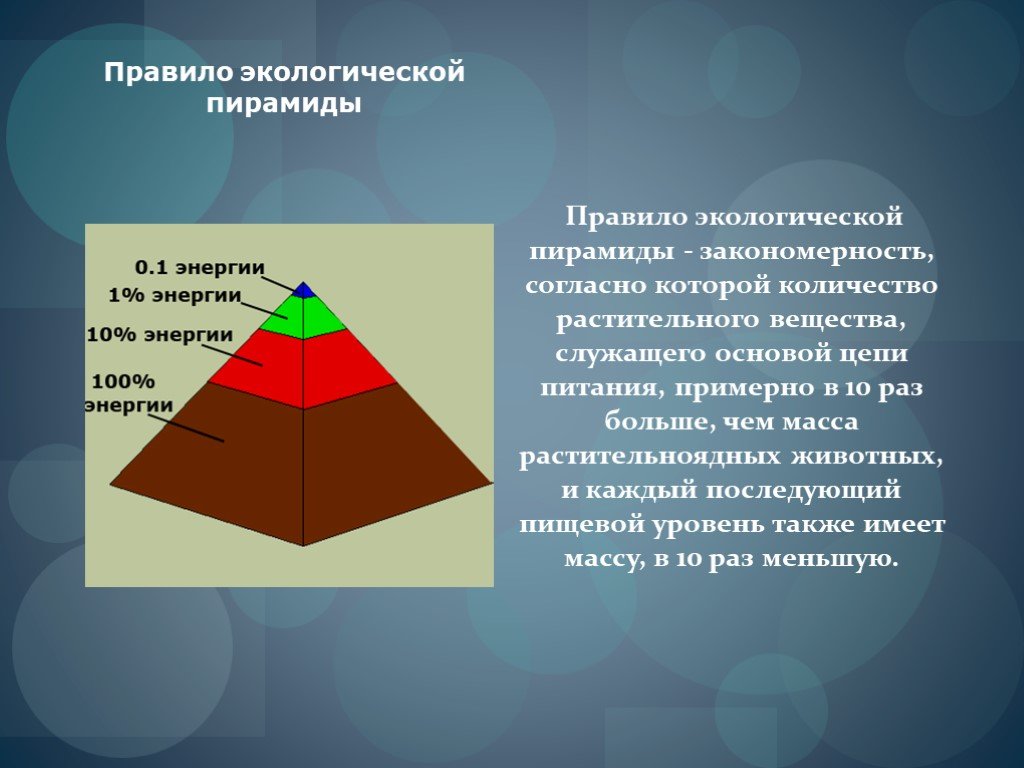Пирамиды биология 11 класс. Правило экологической пирамиды. Правило эколической пирамида. Закономерность экологической пирамиды. Экологические пирамиды правило 10.