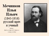 Мечников Илья Ильич (1845-1916) русский врач и ученый автор фагоцитарной теории иммунитета